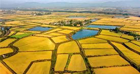 安徽滁州粮食储备库携手净松环境，共筑现代化绿色储粮新标杆 #粮仓空调