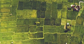 净松移动式谷物冷却机助力四川广安天禾粮油守护粮仓安全