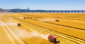 净松储粮科技前沿：一体式粮面控温机、谷物冷却机与三合一粮仓空调详解